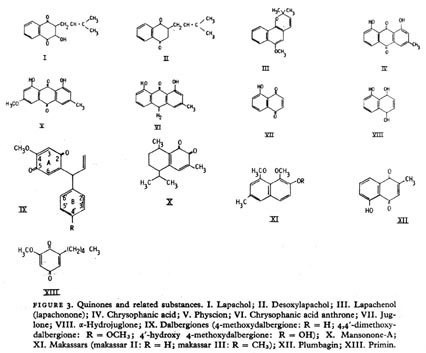 systemic poison ivy pictures. (systemic effects,